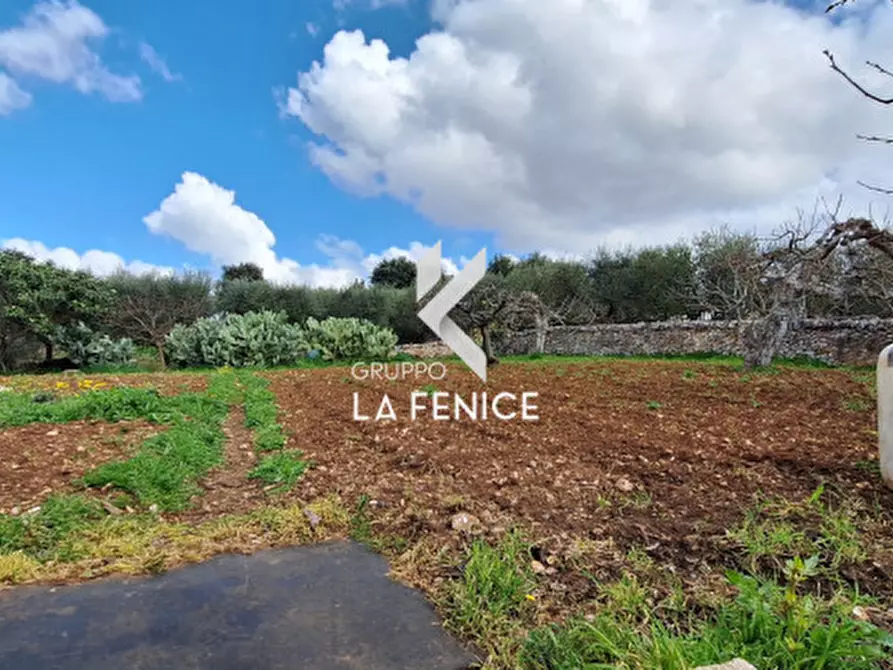 Immagine 45 di Casa indipendente in vendita  in contrada trito 67 a Locorotondo