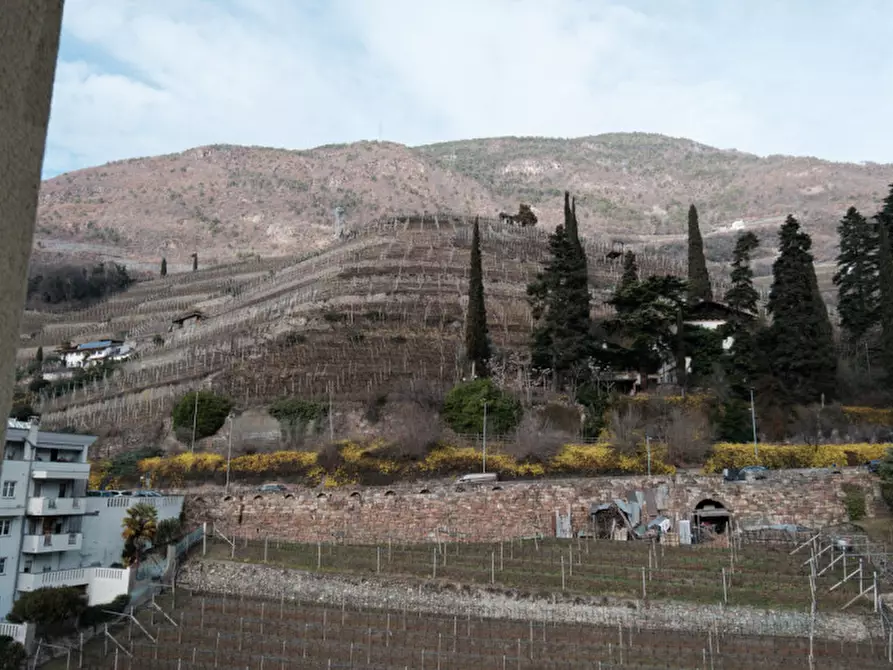 Immagine 14 di Appartamento in vendita  in Via Rencio - Rentschner Straße a Bolzano