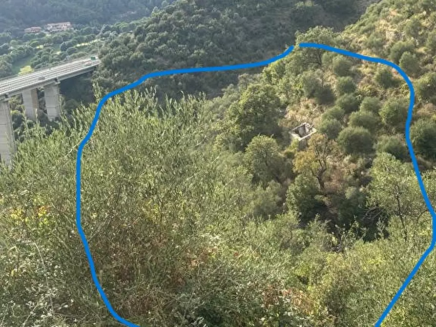 Immagine 2 di Rustico / casale in vendita  a Pompeiana