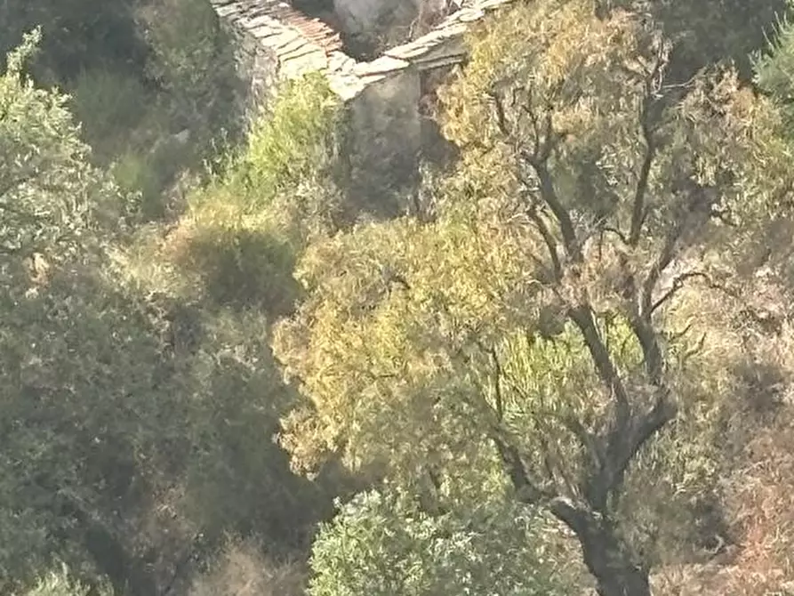 Immagine 3 di Rustico / casale in vendita  a Pompeiana