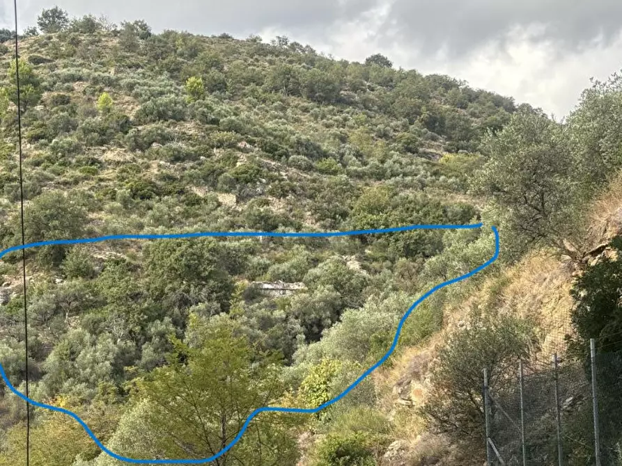 Immagine 4 di Rustico / casale in vendita  a Pompeiana