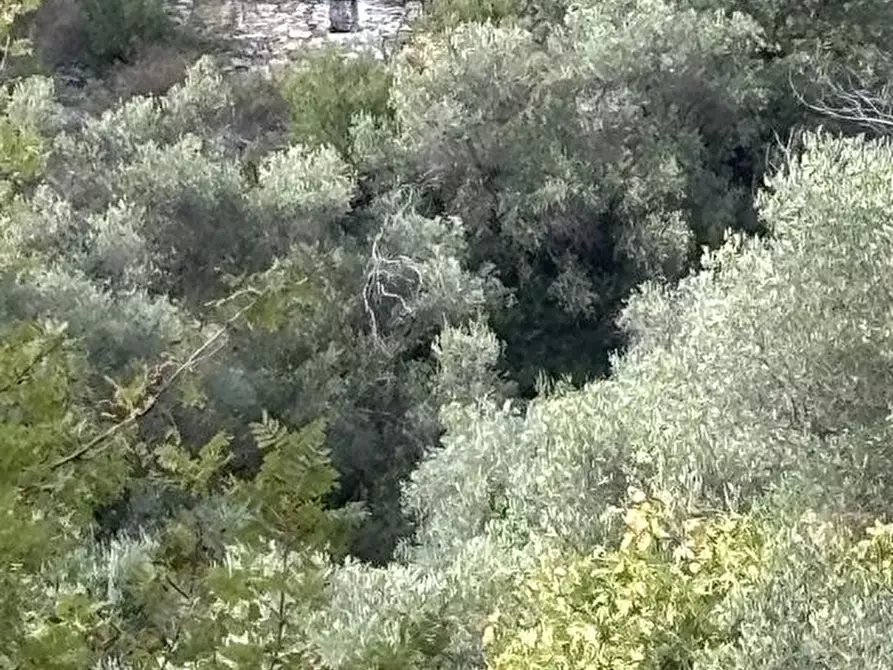 Immagine 5 di Rustico / casale in vendita  a Pompeiana