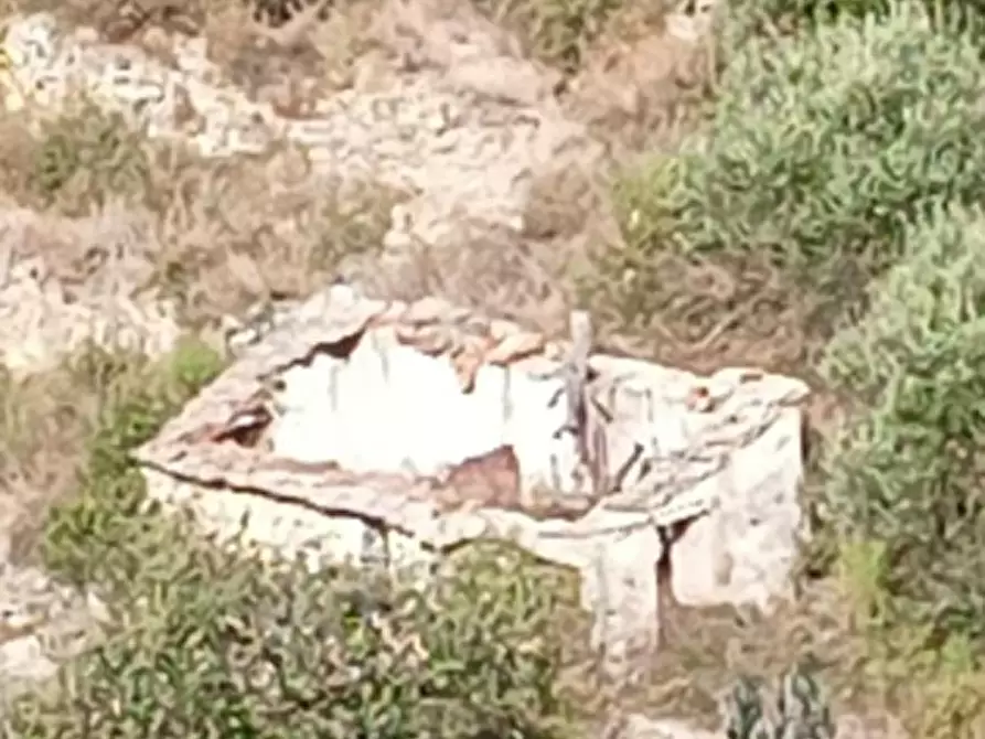 Immagine 8 di Rustico / casale in vendita  a Pompeiana