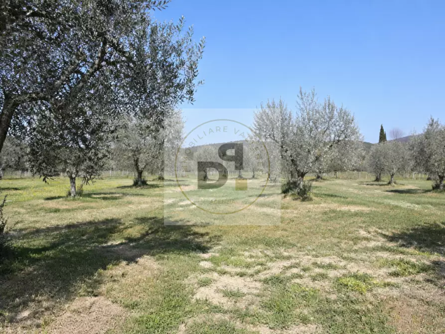 Immagine 1 di Terreno in vendita  in via serraglie a Manerba Del Garda