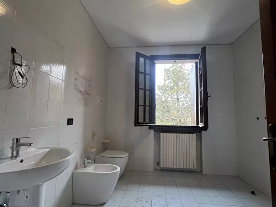 Immagine 13 di Casa bifamiliare in vendita  in Via Quattro Novembre a Solesino