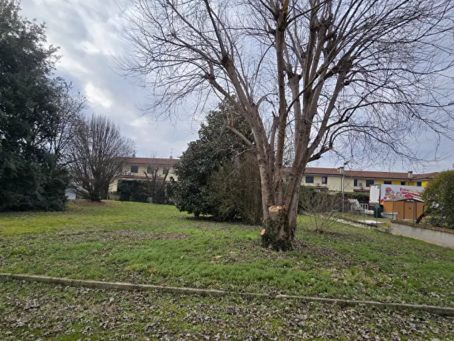 Immagine 41 di Casa bifamiliare in vendita  in Via Quattro Novembre a Solesino