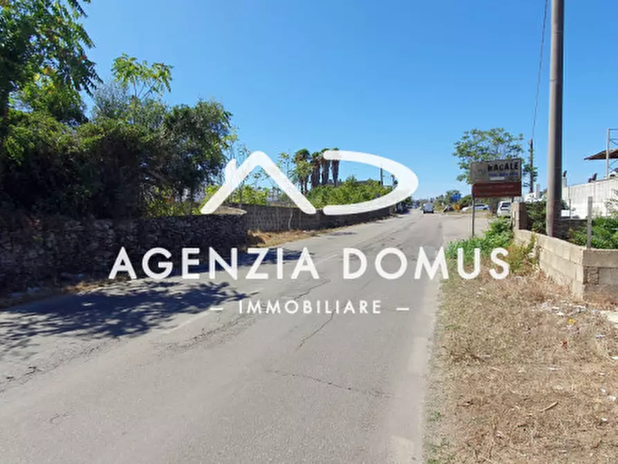 Immagine 3 di Terreno in vendita  a Racale