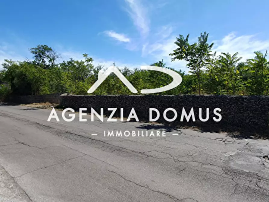 Immagine 4 di Terreno in vendita  a Racale