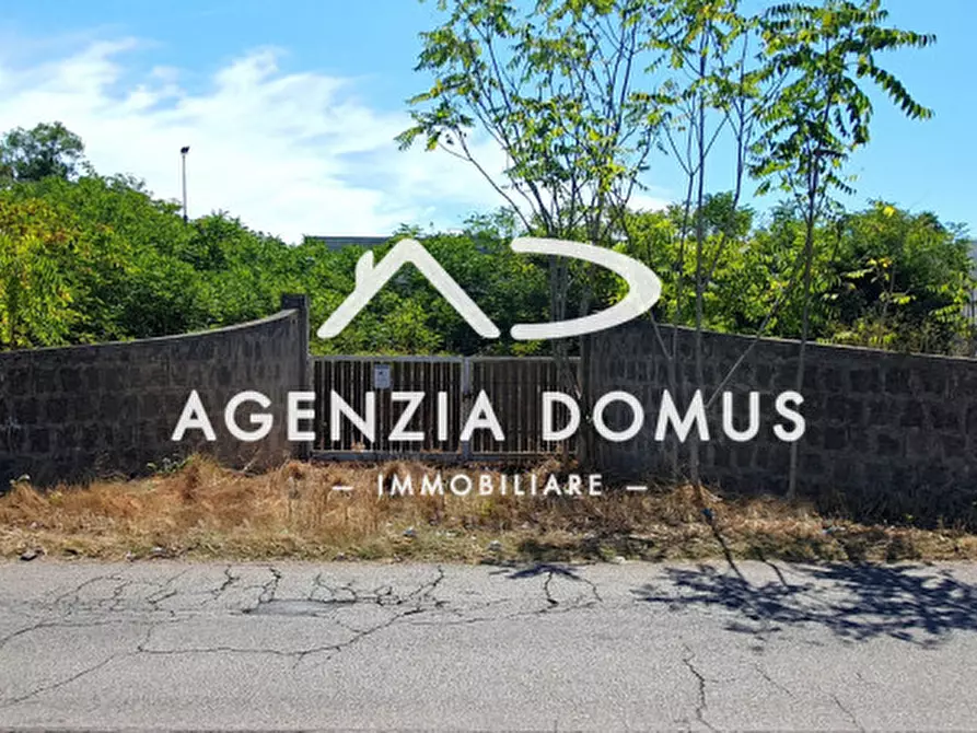 Immagine 6 di Terreno in vendita  a Racale