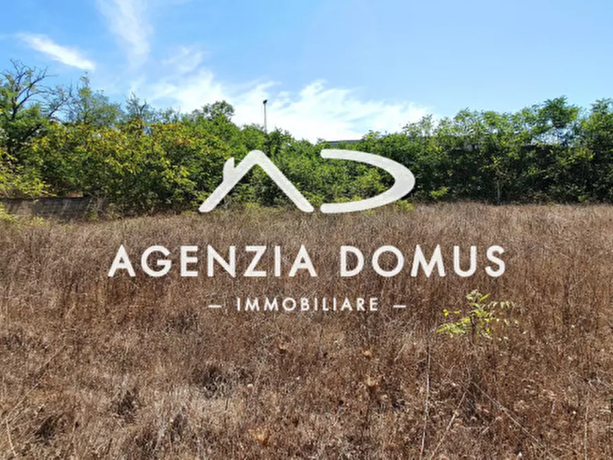 Immagine 9 di Terreno in vendita  a Racale