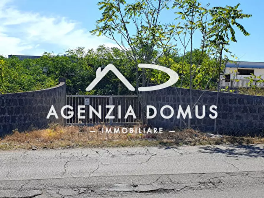 Immagine 11 di Terreno in vendita  a Racale