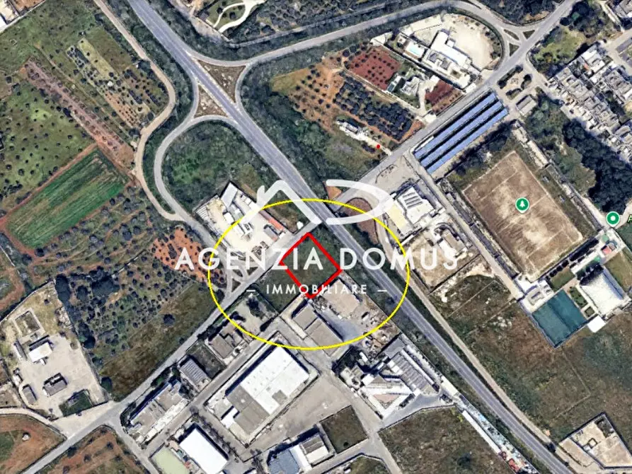 Immagine 13 di Terreno in vendita  a Racale