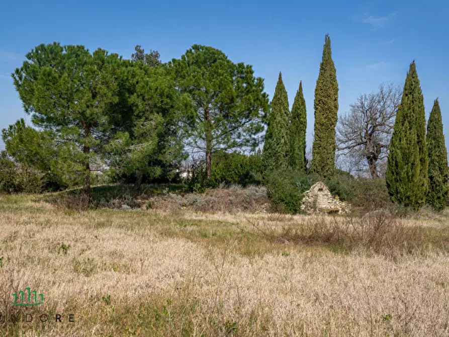 Immagine 32 di Villa in vendita  in VIA SCORTICHETO a Castel San Pietro Terme