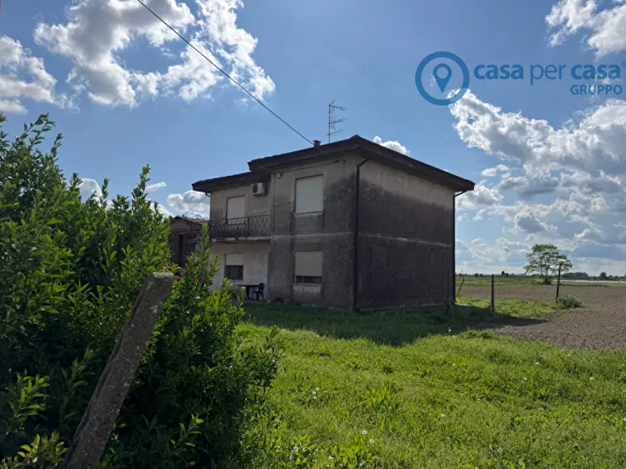 Immagine 1 di Casa indipendente in vendita  a Badia Polesine