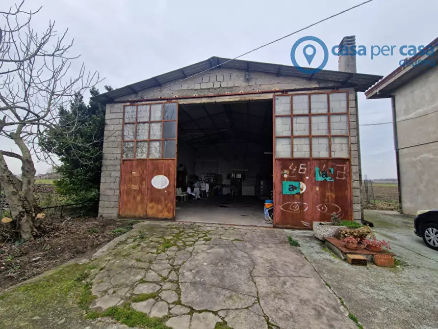 Immagine 15 di Casa indipendente in vendita  a Badia Polesine