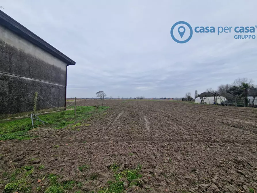 Immagine 16 di Casa indipendente in vendita  a Badia Polesine