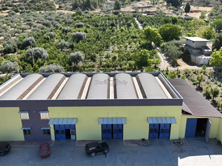 Immagine 2 di Capannone industriale in vendita  a Giarratana