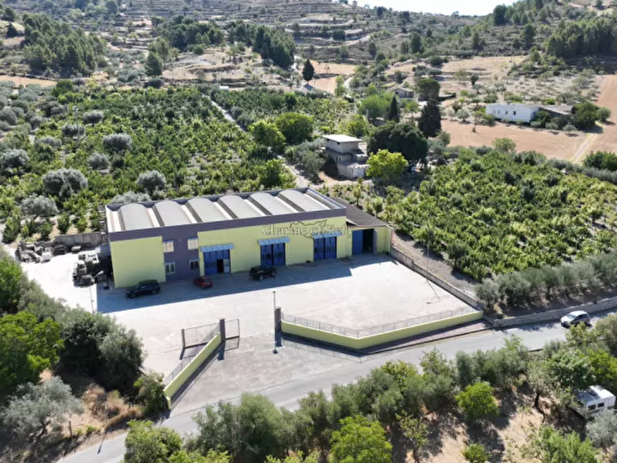 Immagine 3 di Capannone industriale in vendita  a Giarratana