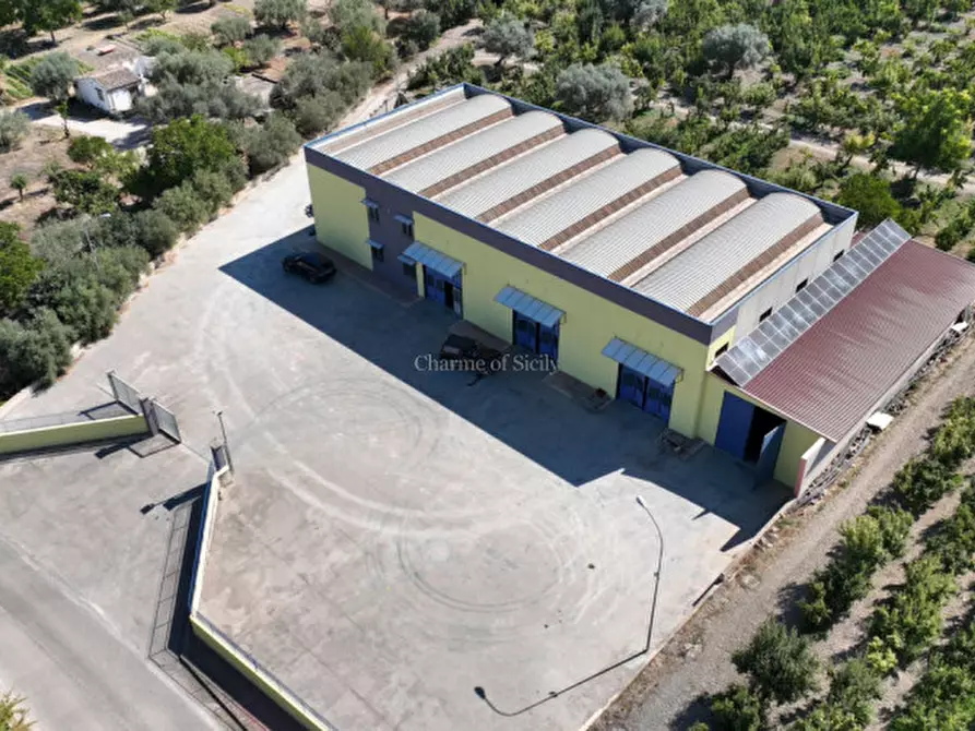 Immagine 5 di Capannone industriale in vendita  a Giarratana