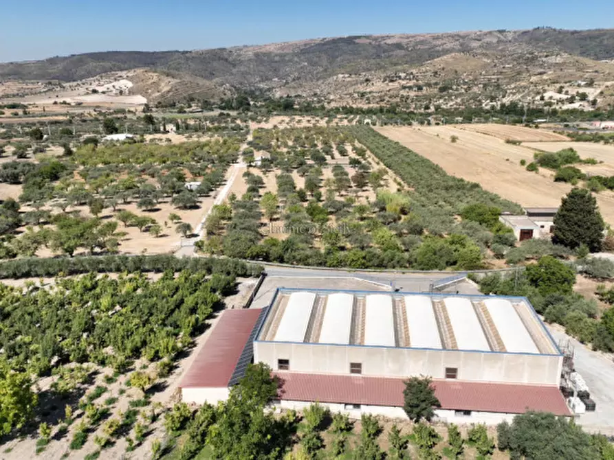 Immagine 6 di Capannone industriale in vendita  a Giarratana