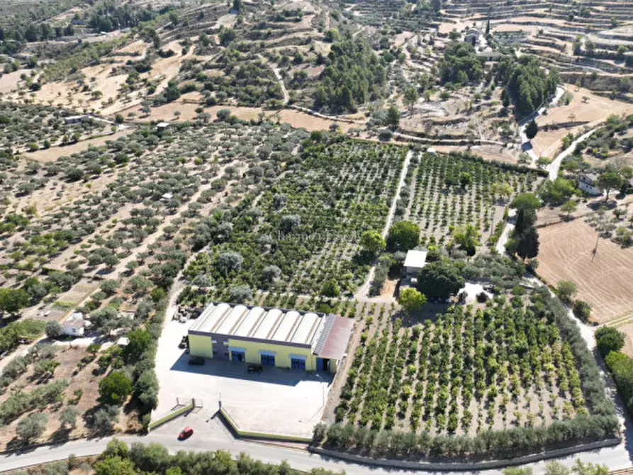 Immagine 8 di Capannone industriale in vendita  a Giarratana