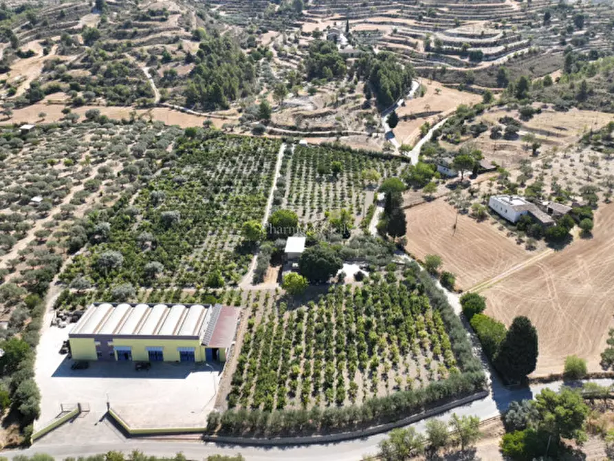 Immagine 9 di Capannone industriale in vendita  a Giarratana