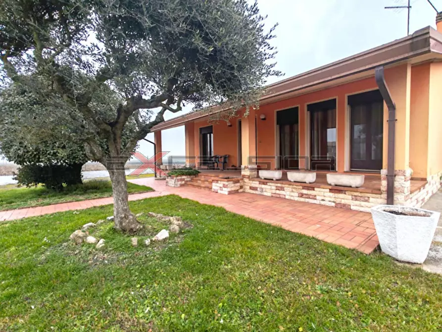 Immagine 1 di Casa bifamiliare in vendita  in Via G. Matteotti n.20 bis - Cavarzere (VE) a Cavarzere