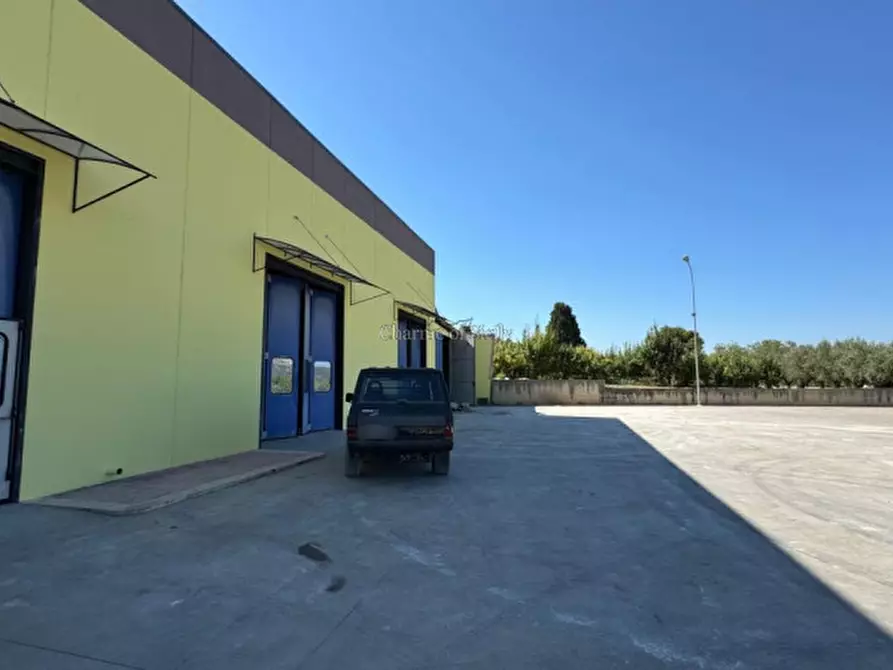Immagine 2 di Capannone industriale in affitto  a Giarratana