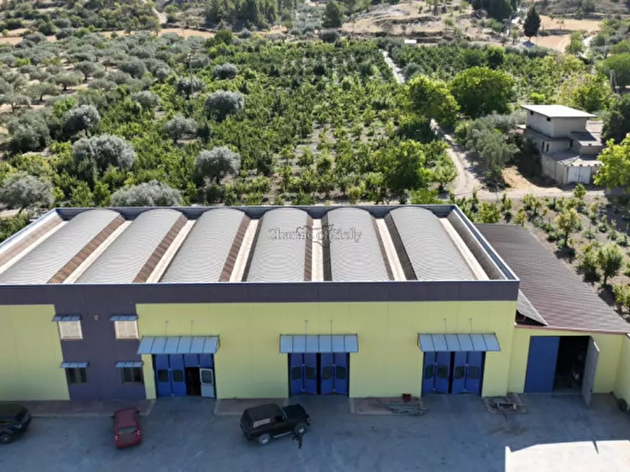 Immagine 9 di Capannone industriale in affitto  a Giarratana