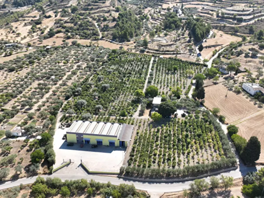 Immagine 13 di Capannone industriale in affitto  a Giarratana