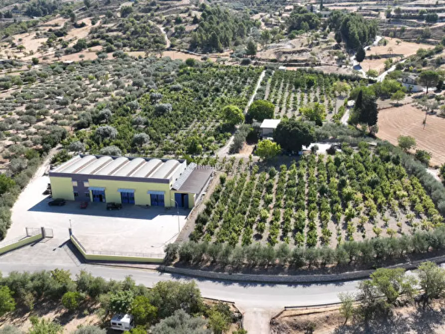 Immagine 14 di Capannone industriale in affitto  a Giarratana