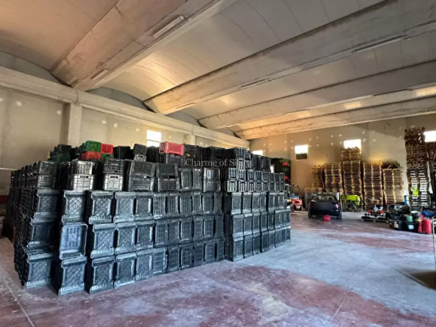 Immagine 19 di Capannone industriale in affitto  a Giarratana