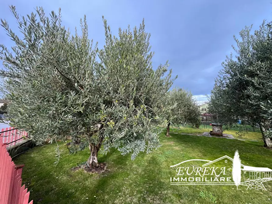 Immagine 31 di Appartamento in vendita  in Via Roma 152 a Castiglione Del Lago