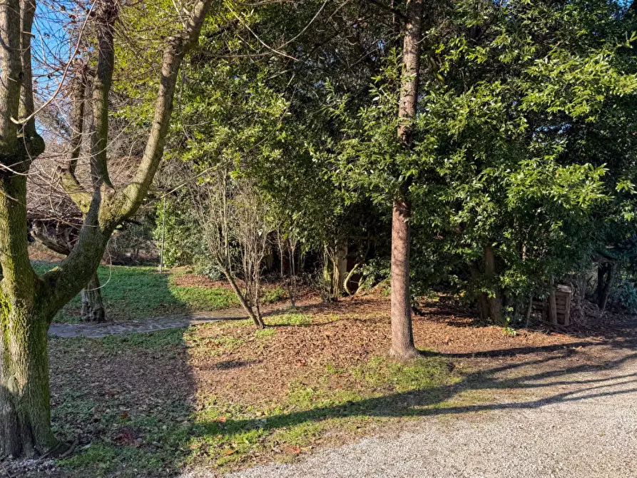 Immagine 21 di Casa indipendente in vendita  in via albare a Piombino Dese