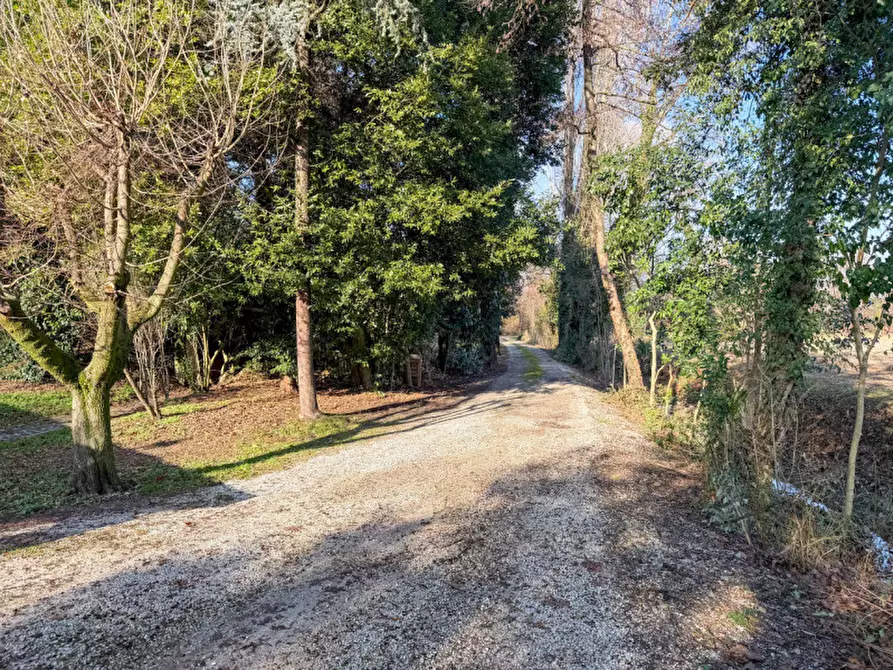 Immagine 22 di Casa indipendente in vendita  in via albare a Piombino Dese