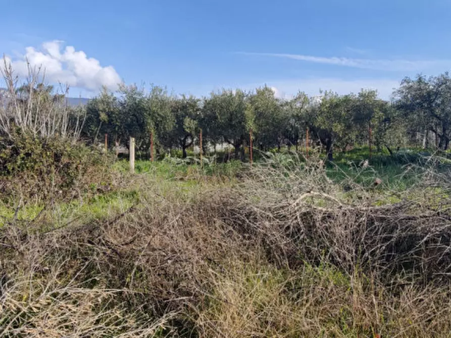 Immagine 2 di Terreno in vendita  in VIA DELLE DUE COLONNE a Eboli