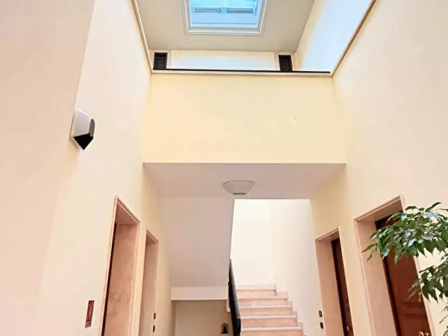 Immagine 30 di Appartamento in affitto  in via degli agrifogli a Rocca Di Papa