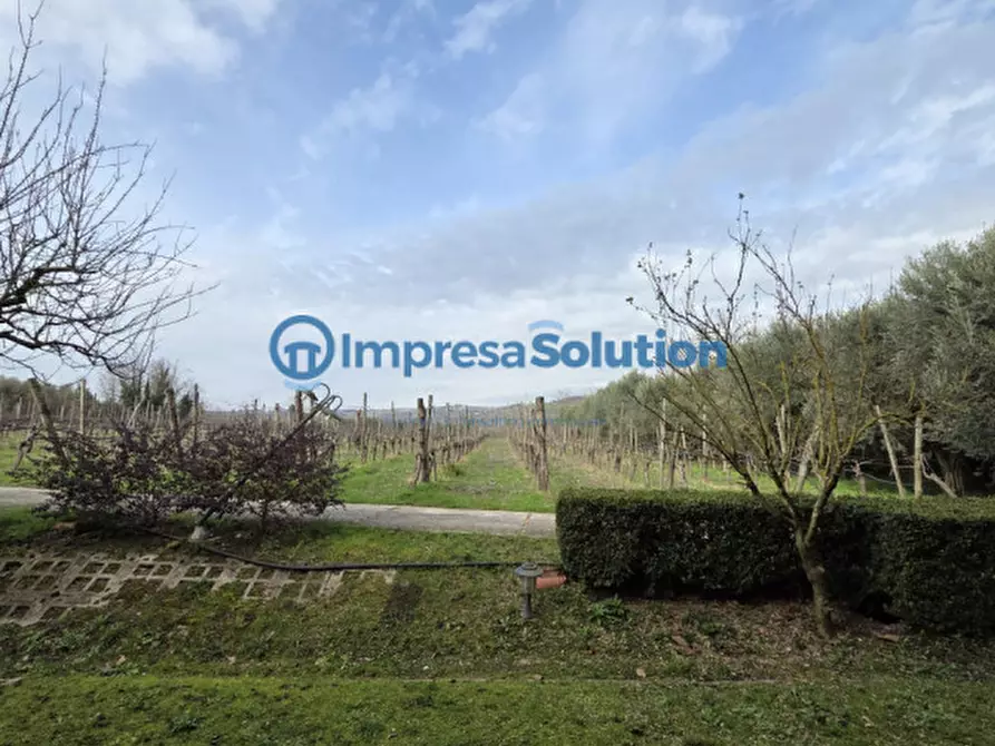 Immagine 4 di Villa in vendita  in Via Cantalupi 6 a Benevento