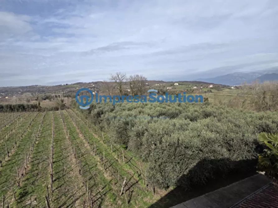 Immagine 14 di Villa in vendita  in Via Cantalupi 6 a Benevento