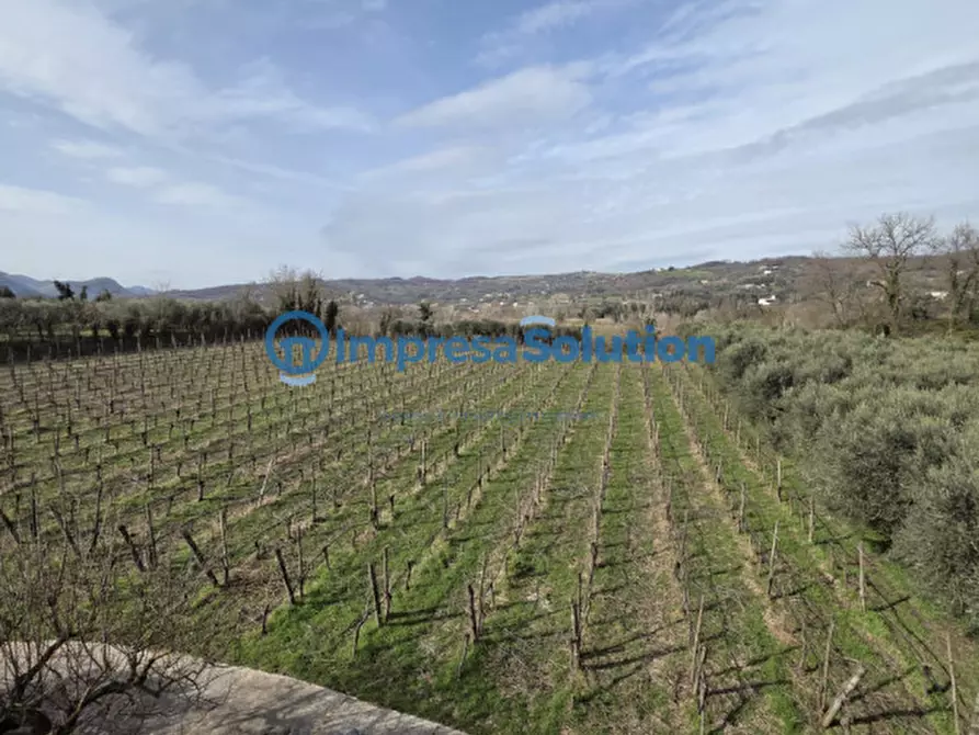 Immagine 15 di Villa in vendita  in Via Cantalupi 6 a Benevento