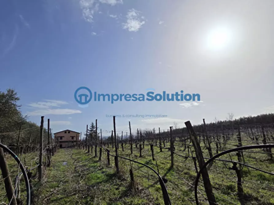 Immagine 22 di Villa in vendita  in Via Cantalupi 6 a Benevento