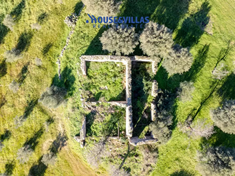 Immagine 3 di Villa in vendita  in contrada pizzuta a Noto