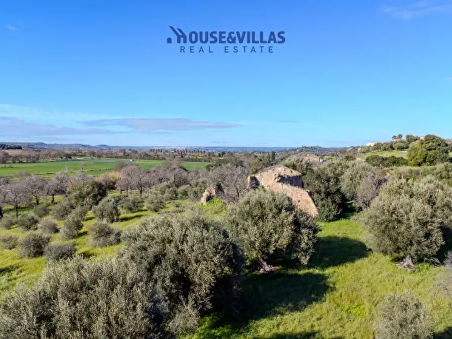 Immagine 9 di Villa in vendita  in contrada pizzuta a Noto