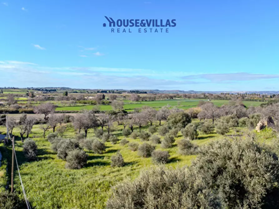 Immagine 10 di Villa in vendita  in contrada pizzuta a Noto