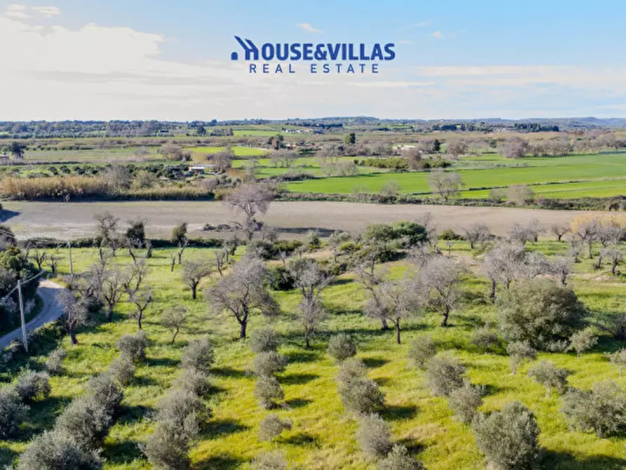 Immagine 11 di Villa in vendita  in contrada pizzuta a Noto