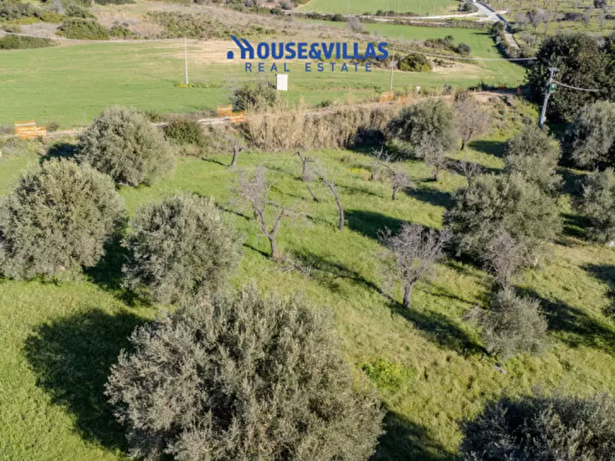 Immagine 12 di Villa in vendita  in contrada pizzuta a Noto