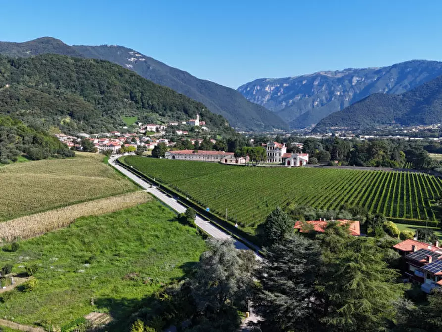 Immagine 3 di Villa in vendita  in Strada Campesana a Bassano Del Grappa
