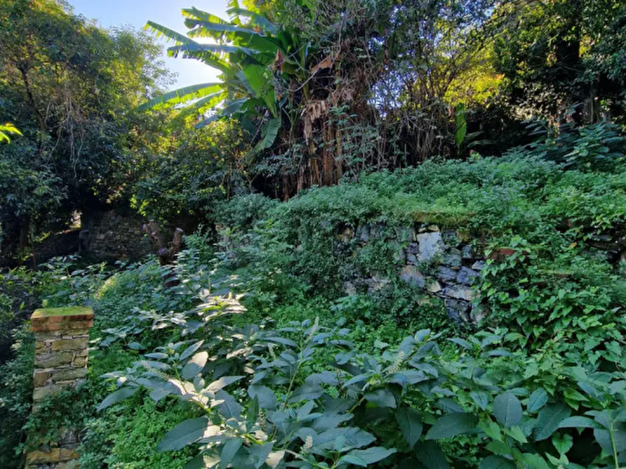 Immagine 51 di Villa in vendita  in Via Macera a Rapallo