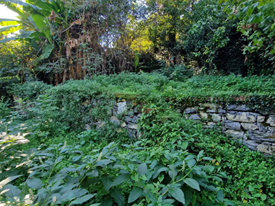 Immagine 52 di Villa in vendita  in Via Macera a Rapallo