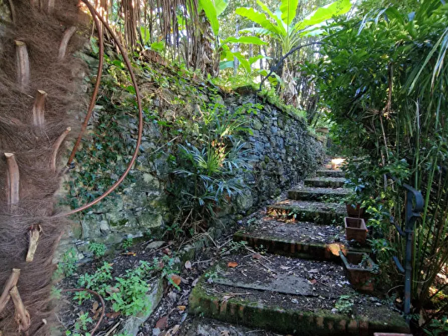 Immagine 55 di Villa in vendita  in Via Macera a Rapallo